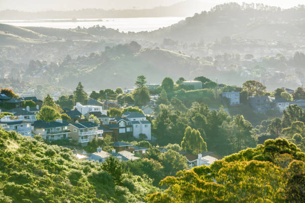 istock muir beach on pacific ocean coast in california 845169906