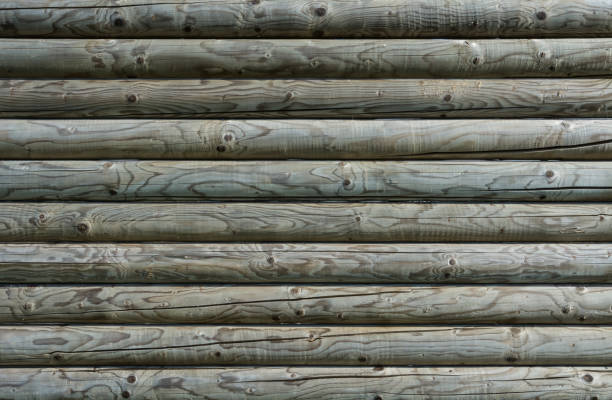 textura de madera vacía de roundwoods grande. - brown curve knotted wood striped fotografías e imágenes de stock