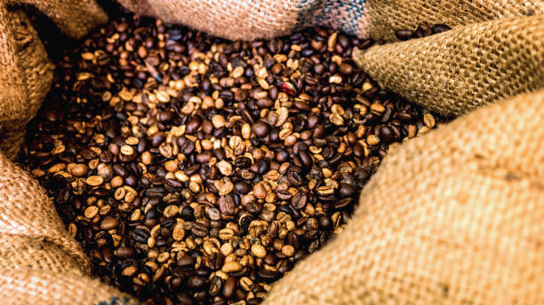 istock The white coffe beans in a sack 845175102