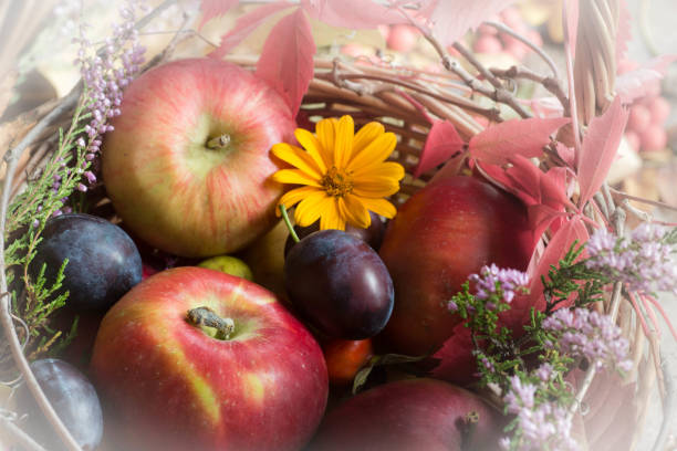 caída de frutos, flores y hojas en cesta bodegón - plum yellow eating beauty and health fotografías e imágenes de stock