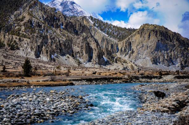 istock Annapurna circuit, Nepal. Himalayas 845180492