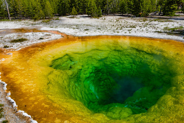 istock Morning Glory Pool in Yellowstone National Park 845180670