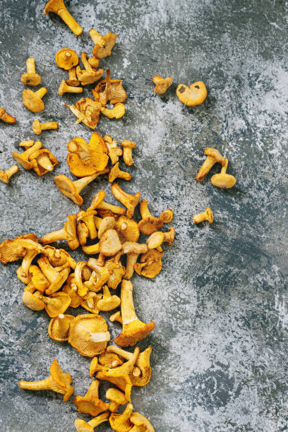 istock Forest mushrooms chanterelle 845181182