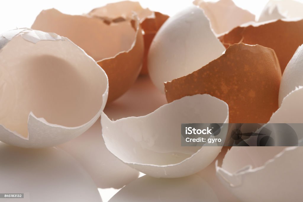 Egg shells Cooking Stock Photo