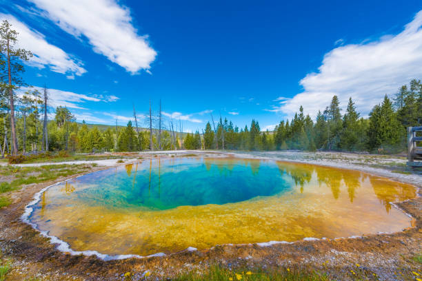 istock Morning Glory Pool in Yellowstone National Park 845183774