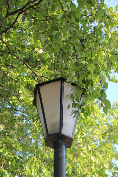 istock Top part of the streetlight 845190460