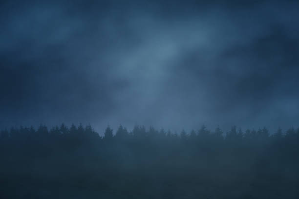 las w górach w nocy - forest transylvania rain fog zdjęcia i obrazy z banku zdjęć