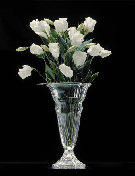 istock Arranged in a vase, white eustoma grandiflorum 845199664
