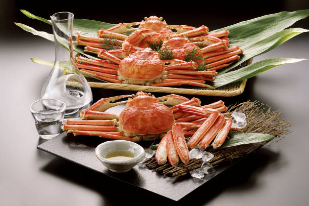 istock Snow crab Chionoecetes opilio 845203610