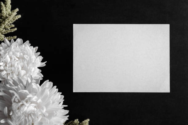 White blank condolence card with aster flowers on the dark background. Fresh flowers. Empty place for a text.