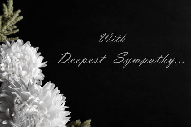 istock White aster flowers on the dark background. Condolence card with text. 845209680