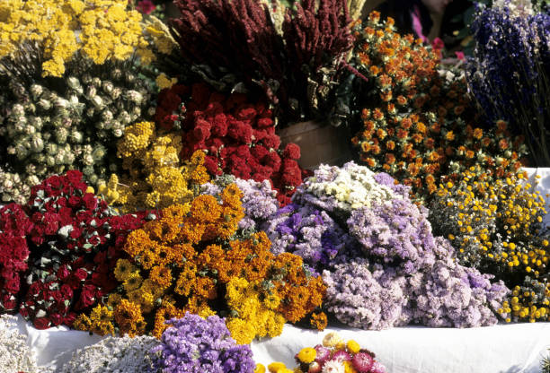 istock Bouquet of herbs 845212278