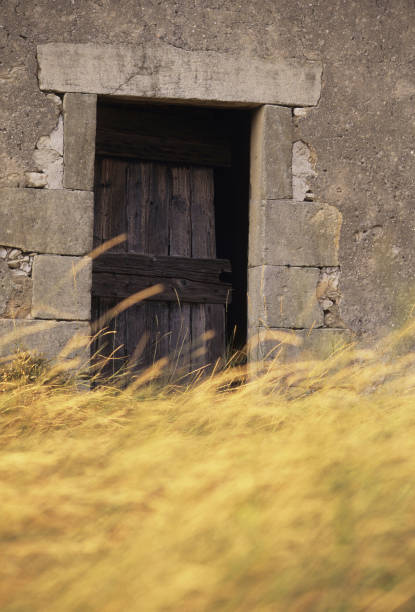 istock Cabin door and bushes 845213072