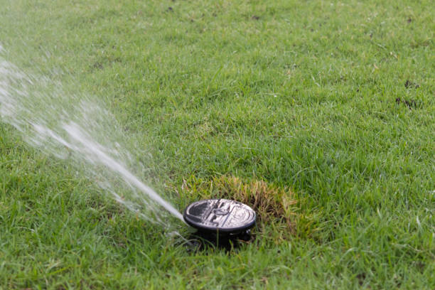 istock Watering sprinkler on grass field at the park 845214362