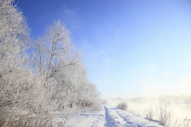 istock Trees of rime ice 845218562
