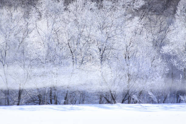 istock Trees of rime ice 845224356