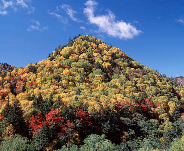 Autumn mountain Autumn mountain mikuni pass stock pictures, royalty-free photos & images