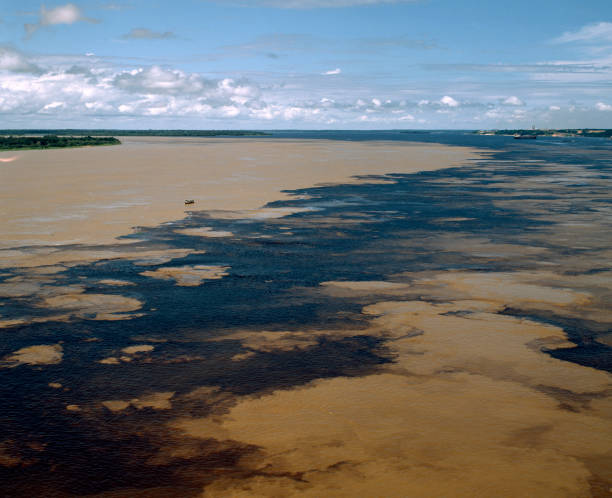 istock Aerial view through solimoes River and the Negro River confluence 845236382