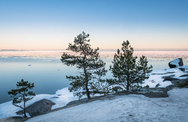 istock Seascape with trees and nice evening light at winter time 845239470
