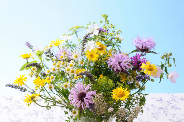 istock Arrangement of flowers 845239500