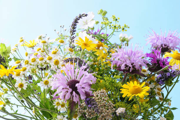 istock Herb flower arrangement 845239522