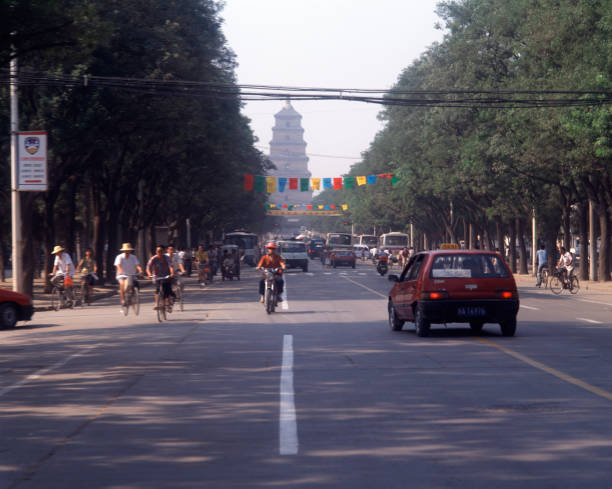 istock Wild goose pagoda road 845240664