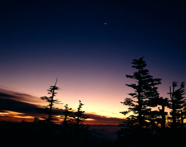 istock The dawn of Shirane mountain 845247064