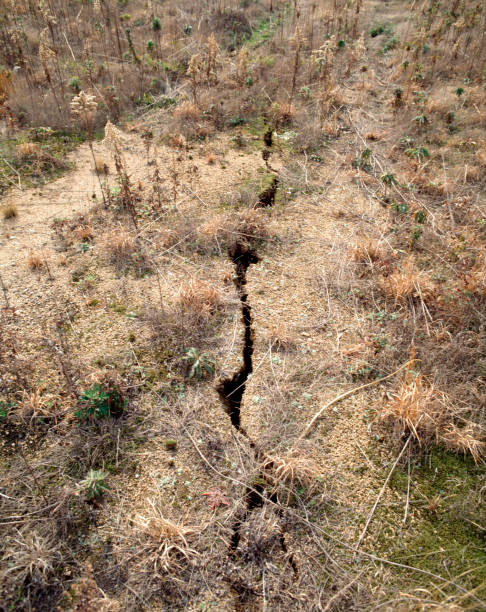 470+ Hanshin Fotografías de stock, fotos e imágenes libres de derechos