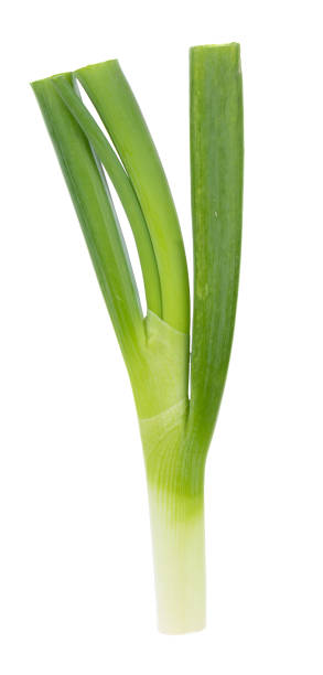 istock Green Japanese Bunching Onion on white background 845259502