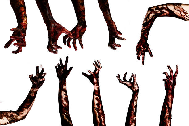 istock Halloween theme:Blood zombie hands on white background , zombie, demon, killer, maniac with clipping path. 845274712