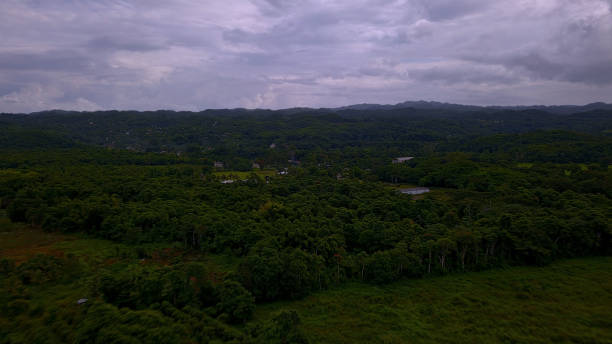 istock Montpiler St James Jamaica 845286468