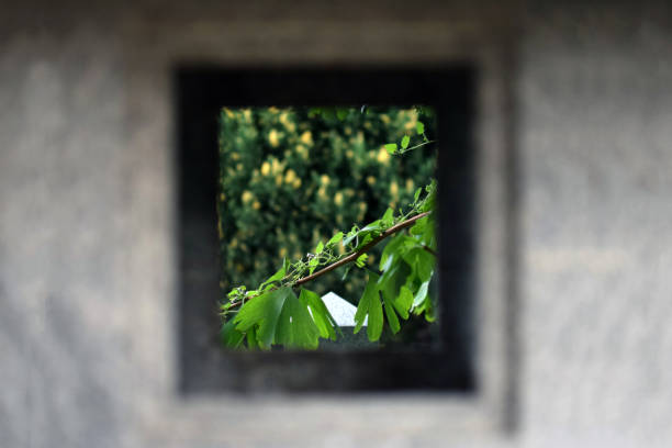 istock The world to look in from a stone lantern 845287266
