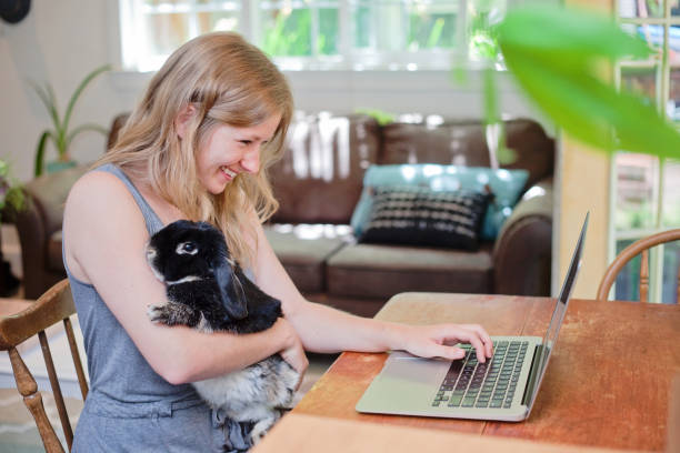 istock Young Adult with Pet Rabbit working at her Laptop 845290260