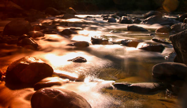istock Scenic River in British Columbia, Canada. 845299120