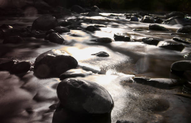 istock Scenic River in British Columbia, Canada. 845299214