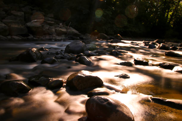istock Scenic River in British Columbia, Canada. 845301382