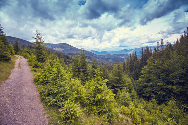 istock A beautiful landscape with clouds in the summer in the mountains. 845301532