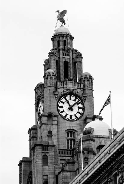 budowa wątroby - liverpool royal liver building uk built structure zdjęcia i obrazy z banku zdjęć