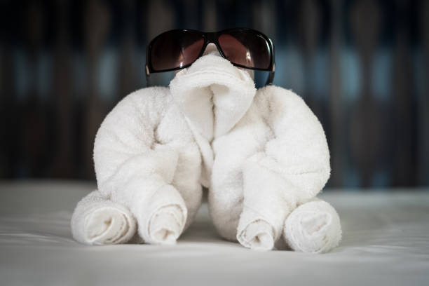 Folded towel in shape of crocodile with remote control in mouth left on bed. Creative hotel stuff
