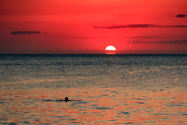 istock Lonely swimmer at red sunset in Zanzibar 845328844