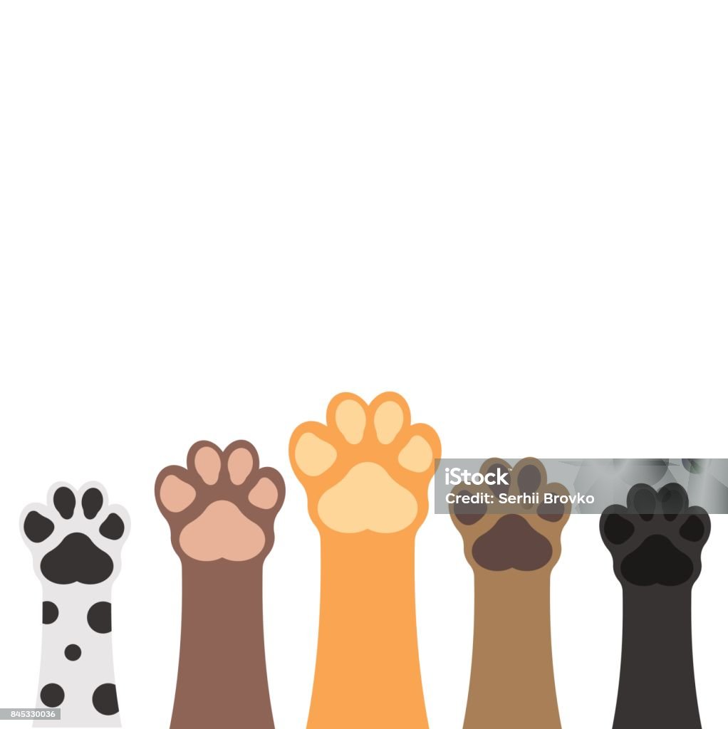 Paws up pets set isolated on white background. Vector illustration. Dog stock vector