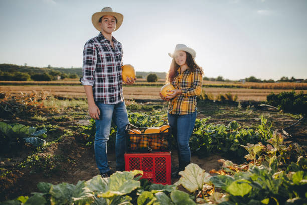istock Pumpkins on the grow 845335712