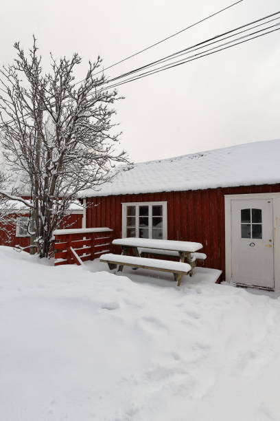 casas rurales-rorbuer roja bajo fuertes nevadas en la aldea de hamnoy. reine-moskenesoya-nordland-noruega. 0381 - birch tree tree downy birch white fotografías e imágenes de stock