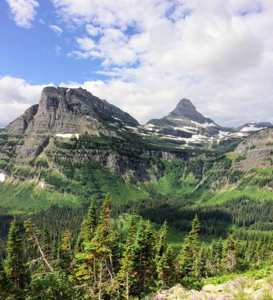 Going to the Sun Road, View of Landscape, snow fields In Glacier National Park around Logan Pass, Hidden Lake, Highline Trail, which features waterfalls, wildlife, and is surrounded by mountains including: Piegan, Pollock, Oberlin, Clements, Reynolds and Heavy Runner Mountain Montana USA va a la carretera del sol, vista del paisaje, campos de nieve en parque nacional los glaciares alrededor de logan pass, lago escondido, camino de highline, que cuenta con cascadas, flora y fauna y está rodeado por montañas como: pollock, oberlin, piegan, clements, reynolds