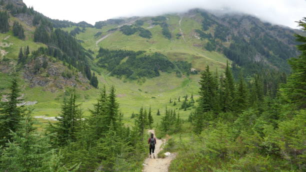 istock Hiking in British Columbia 845351320