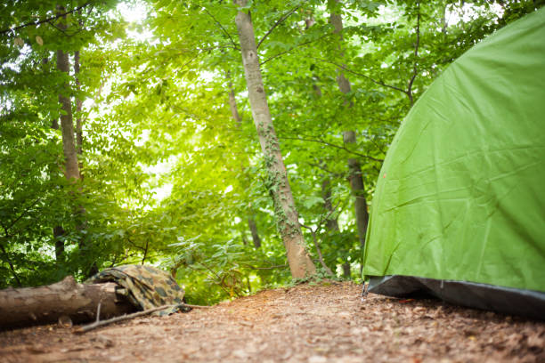 istock Tents, Mountaineering, Forest, Nature, Camping 845354664