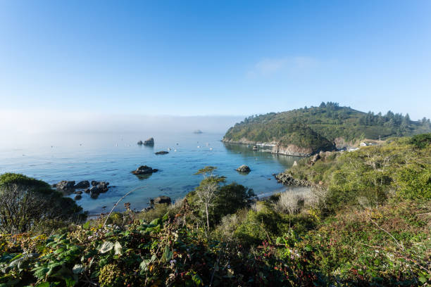 istock Trinidad, California, USA 845357800