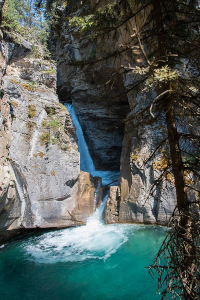 istock Johnston canyon in Banff National Park - Canada 845358112
