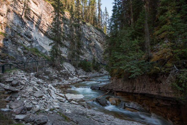 istock Johnston canyon in Banff National Park - Canada 845358146