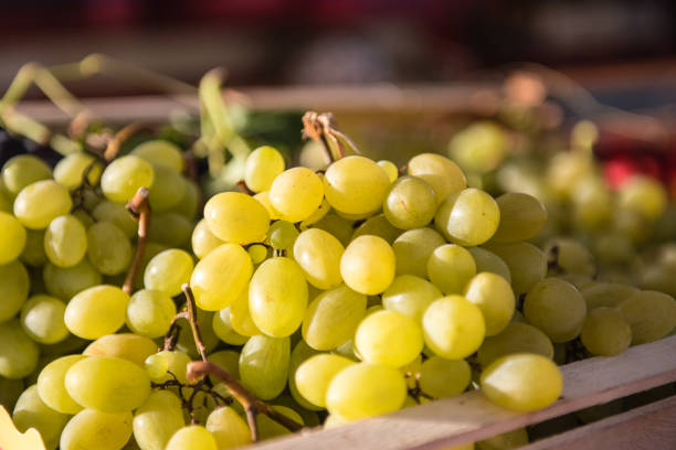 White grapes close up, bunch of fruits in wooden case selective focused